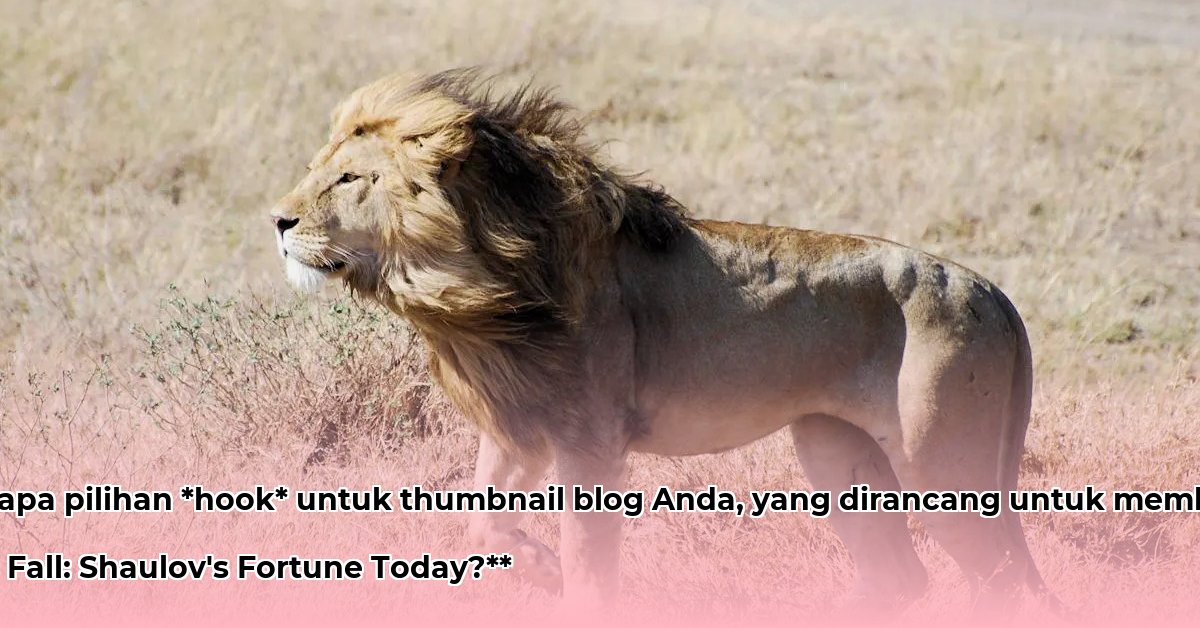 leon-shaulov-net-worth